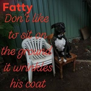 Meet your Posher, Leroy